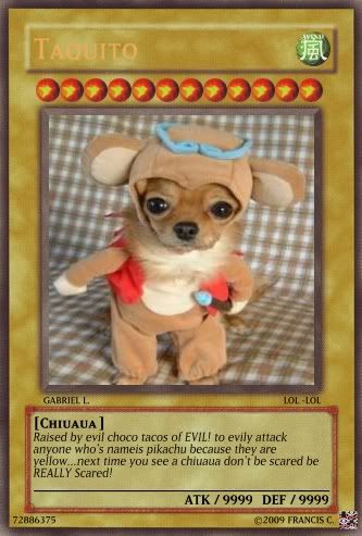 Yugiohcardmaker.net My cards Createcard2