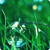 [Avatar] Lặg ○ • Bubbles_in_the_grass