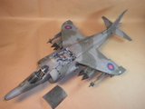 Οταν το μικιο φαινεται μεγαλο (Harriers στην 1/24) Th_PA090036