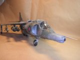 Οταν το μικιο φαινεται μεγαλο (Harriers στην 1/24) Th_PA090055