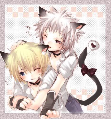 Bộ sưu tập manga lai mèo của mình^^ Neko-Boys-anime-animal-guys-3835861