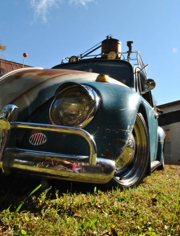 My 65 Beetle Leela - Page 8 DSC_0306