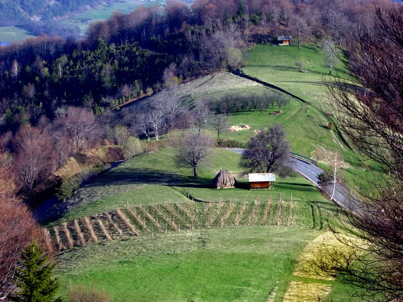 SLIKE SRBIJE - Page 9 SV3000388