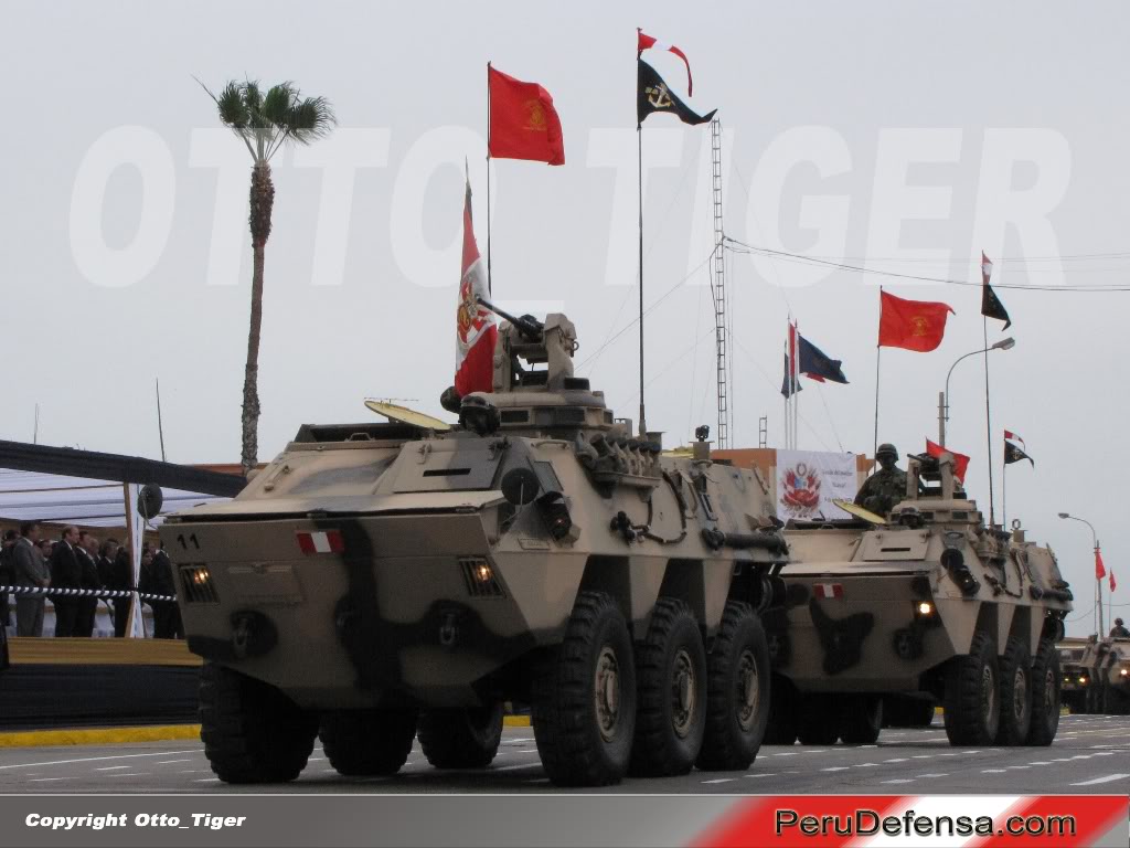 Fuerzas Armadas del Peru 10080910