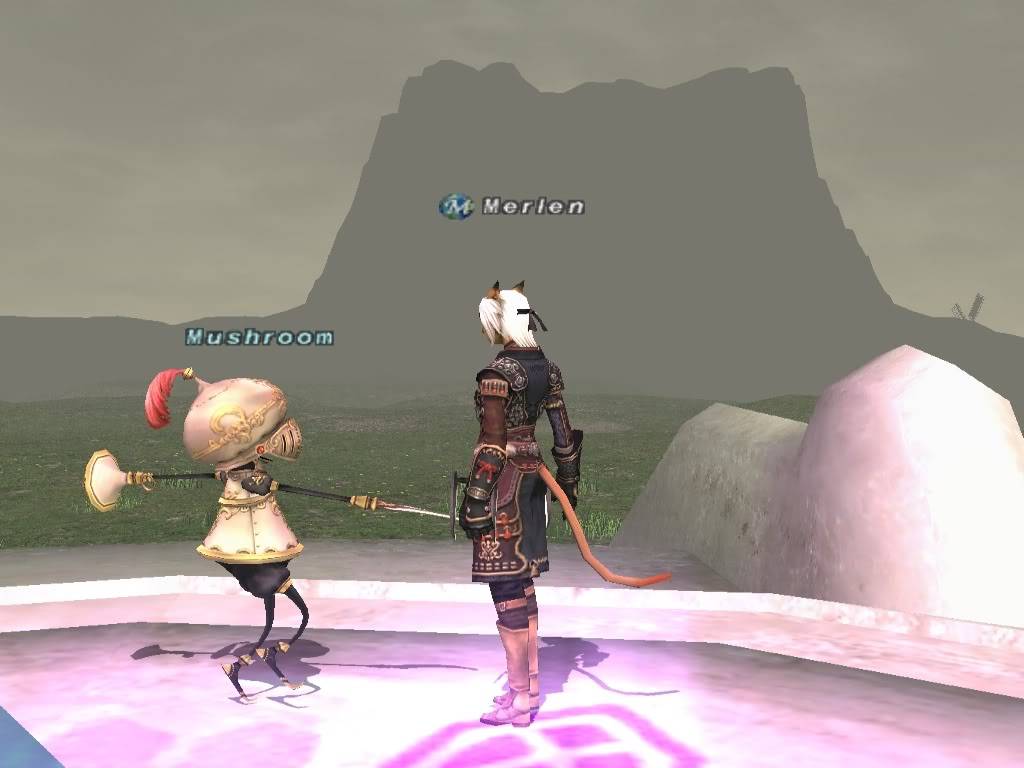 #379 Merlen & Mushroom - Usukane Gote Ffxi_20100827_023759