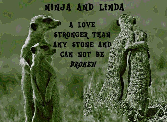 A Ninja and Linda Picture Ninja_Linda