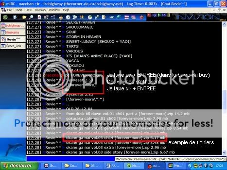 Tutoriel pour IRC (avec client INVISION) [FINI] Photo13