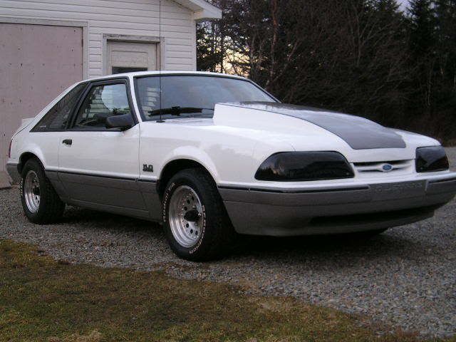 88 stang P4120332