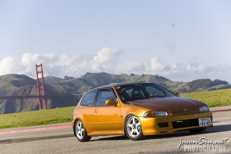 bunch of civics Orangeeg