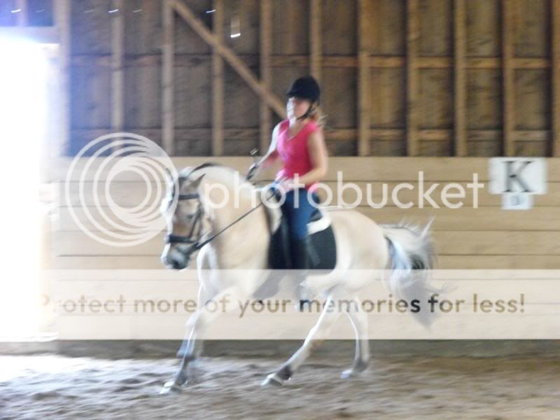 TE's Clinic at her barn DSCF0129