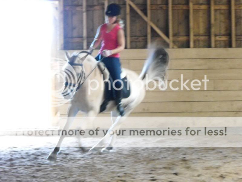 TE's Clinic at her barn DSCF0135-2