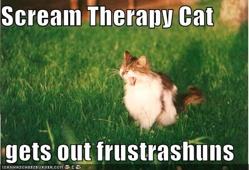 Kitty pictures are funny.... ScreamTherapy