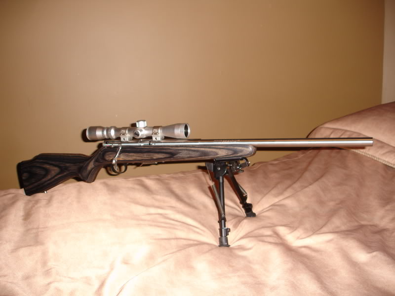 Ma .17 HMR DSC01767