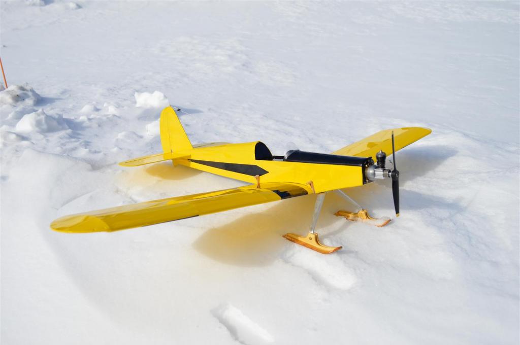 Looking for: Easy to build basic RC airplane plans - Page 2 DSC_0133Large_zps3f0ae222