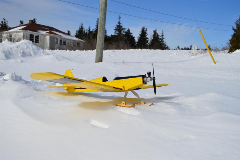 Scratch Built 2 chan Babe Bee Powered plane - The Northern Flicker DSC_0134Large_zpsafce9572