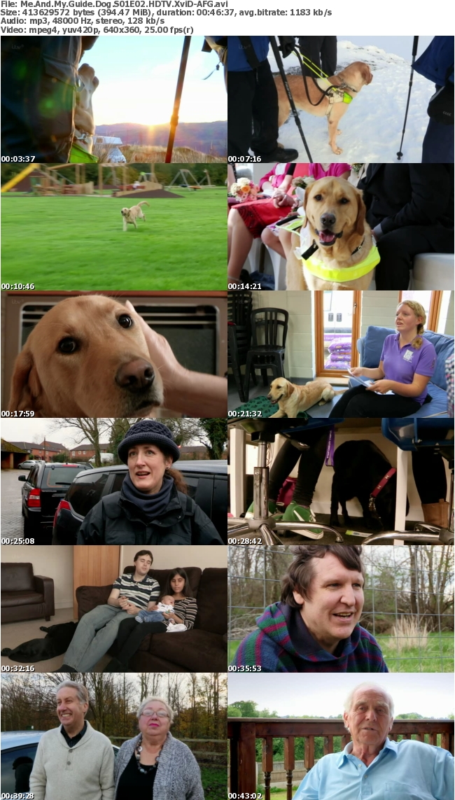 Me And My Guide Dog S01E02 HDTV XviD-AFG 77e5c1d9f0676f92edf0d42493dfd056