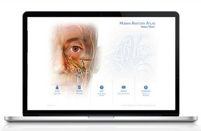 Visible Body Human Anatomy Atlas 7.4.01 Portable | 470 MB C70affc950a55fae28101c310b1c4578