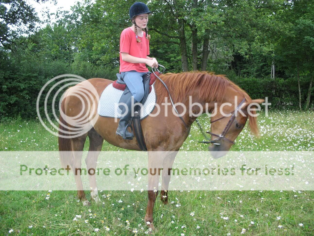 Moi et mon cheval Oscaretmoi1bis