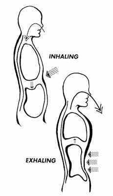 Hướng dẫn : Thở , Luyện cơ Breathing