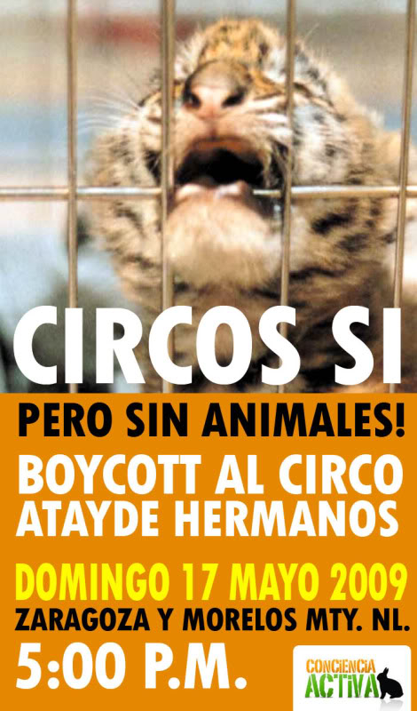 BOYCOT AL CIRCO ATAYDE HERMANOS!! BOYCOTTCIRCOATAYDEcopia