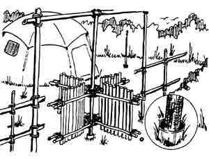 Pioneering - Gateway 10405590_750117888379259_6883879932363964214_n_zpspsbfqoc7