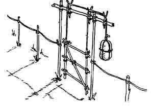 Pioneering - Gateway 10559687_763700760354305_6819560784953782051_n_zpsy7s9vkv8