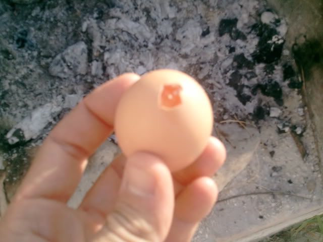 Cocer un huevo en el fuego. 2011-08-16192502