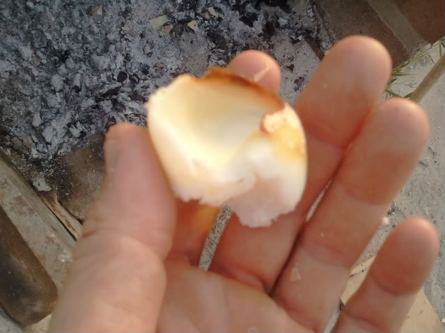 Cocer un huevo en el fuego. 2011-08-16204315