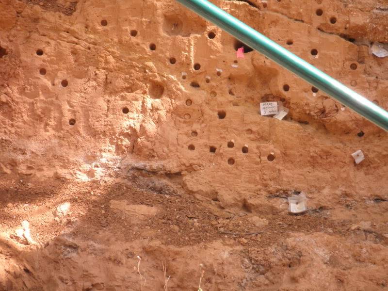 Visita a Atapuerca P9150067