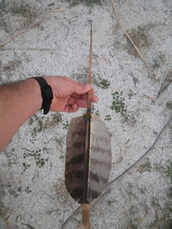 Una flecha del Amazonas. PA150002-1