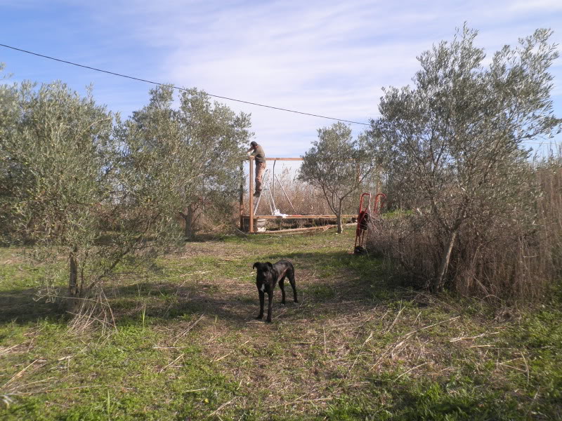 Montando el gallinero, por fin. PC160014