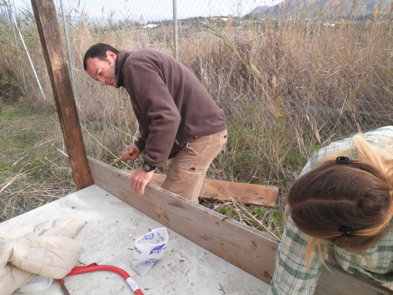 Montando el gallinero, por fin. PC170024