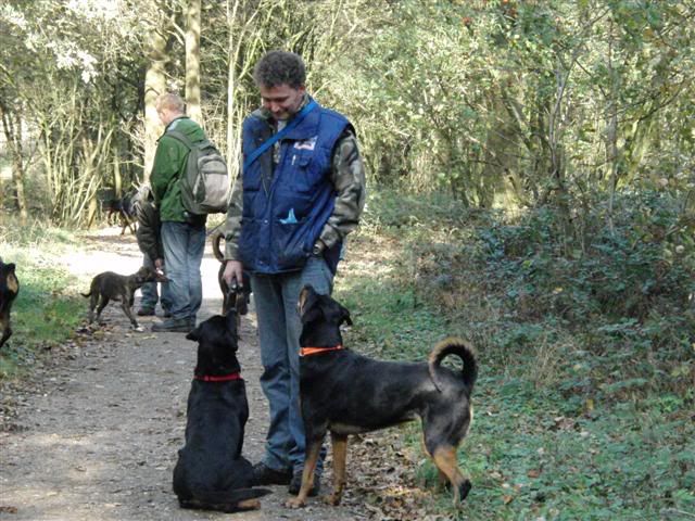 Wandeling Groesbeek CIMG3192Small