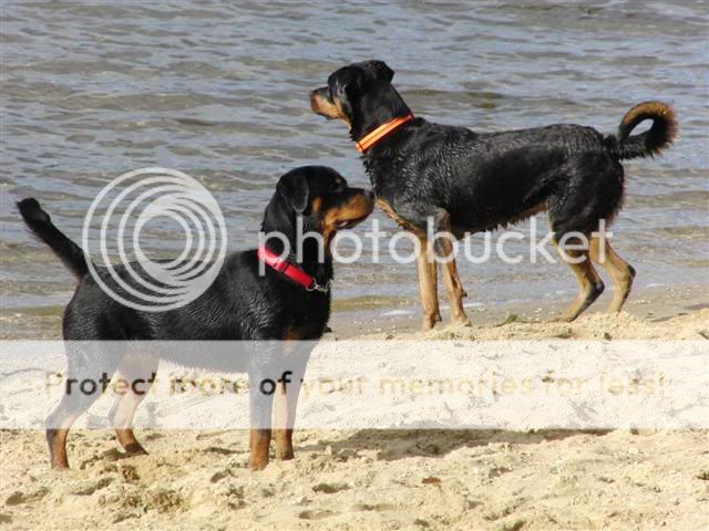 Wandeling Groesbeek CIMG3217Small