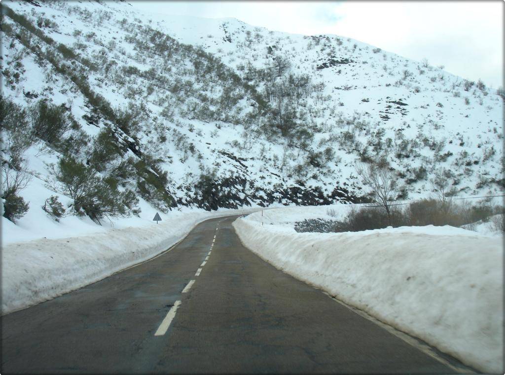 Gran nevada en LLÁNAVES DE LA REINA (LEÓN) 13-02-2013 DSC04867B