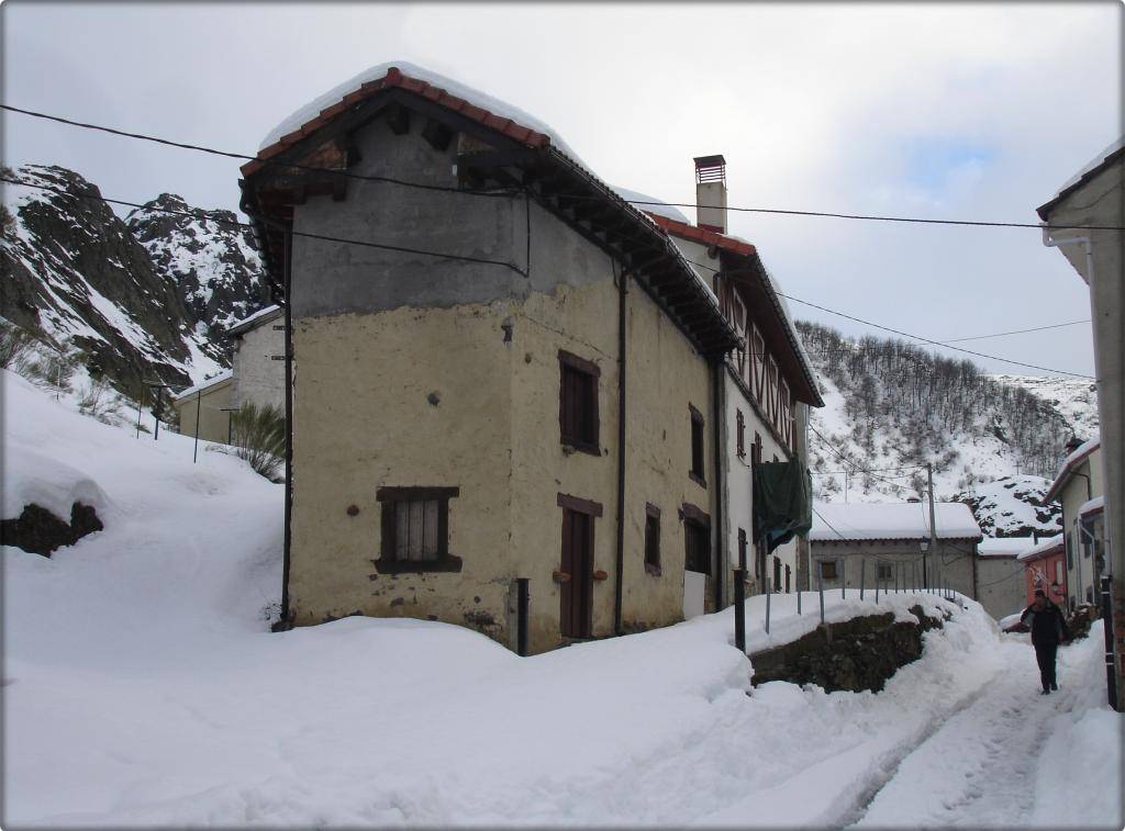 Gran nevada en LLÁNAVES DE LA REINA (LEÓN) 13-02-2013 DSC05188C