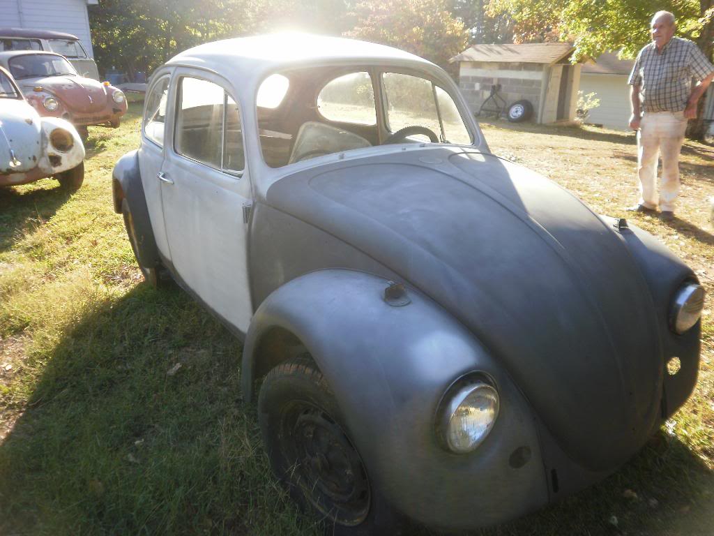 Madde the 67 beetle Projects017