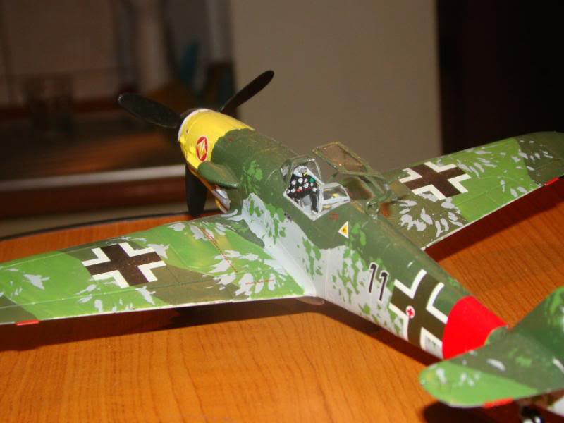 Modele de avioane militare - 2010 DSC03473