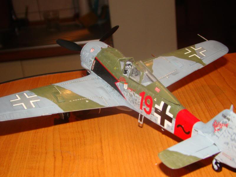 Modele de avioane militare - 2010 DSC03476