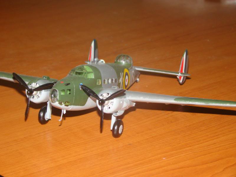Modele de avioane militare - 2010 DSC03504