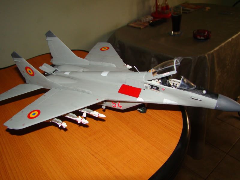 Modele de avioane militare - 2010 - Pagina 3 DSC04256