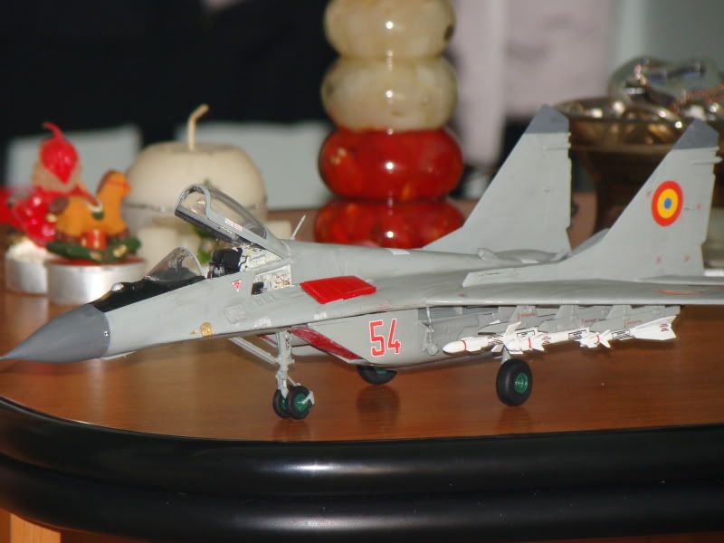 Modele de avioane militare - 2010 - Pagina 3 DSC04263