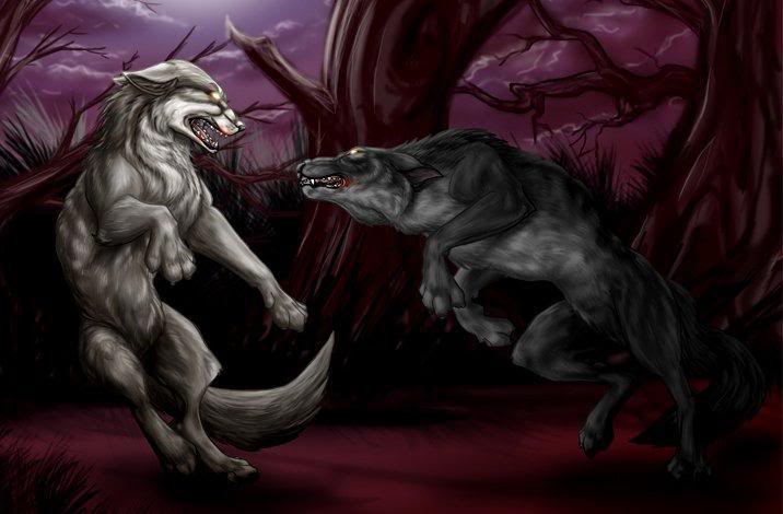 Wolf RP :read rules and have fun! Everyone welcome!) title of rp: Battle of the sexes or wolf wars!^^ lol  2568926527