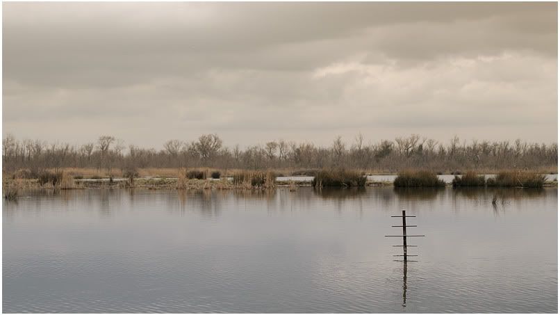 Camargue DSC_0076