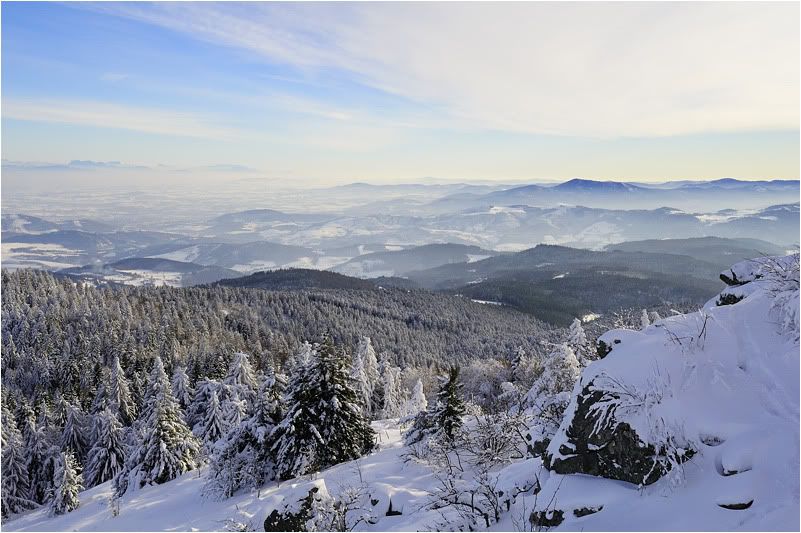 Collection hivernal, Parure de blanc et de brume... DSC_0235-1