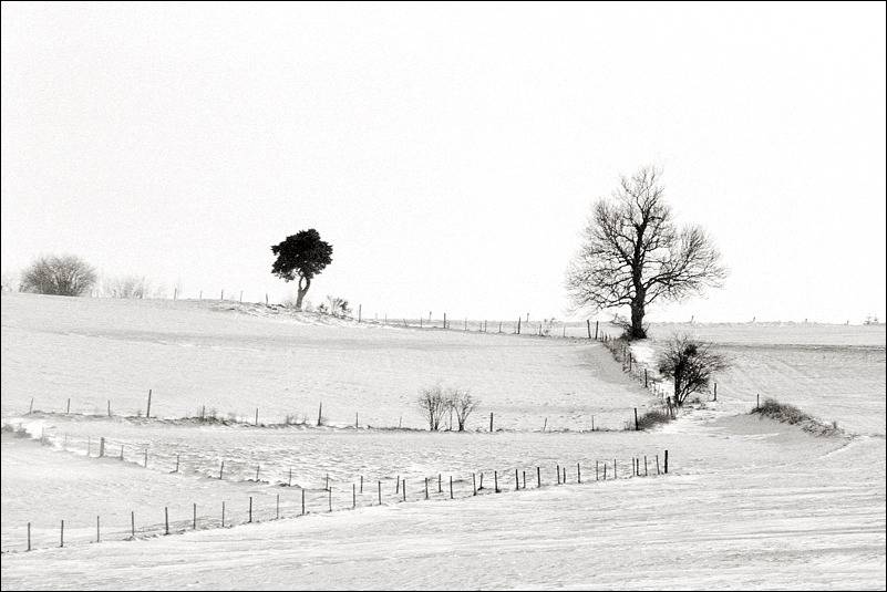 Balade hivernale IlfordFP4125021_zps386c7890