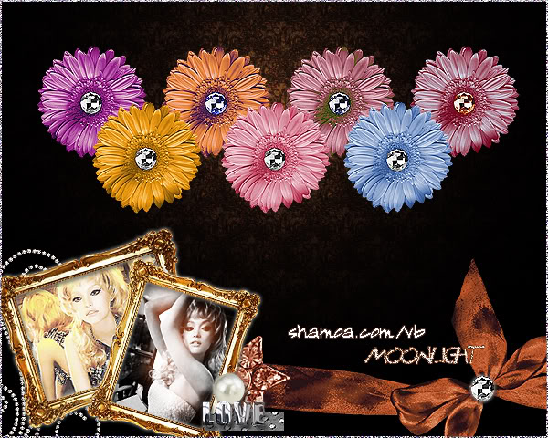 سكرابز ScrapBooking Sunflowers