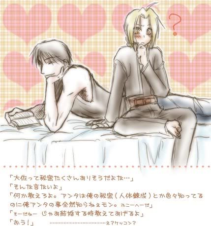 the image collections of Fullmetal Alchemist - Page 4 0728himitu