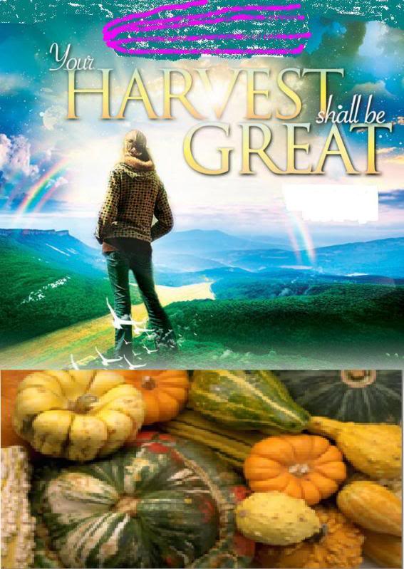 Your Harvest Shall Be Great Gtshallbeyourharvest