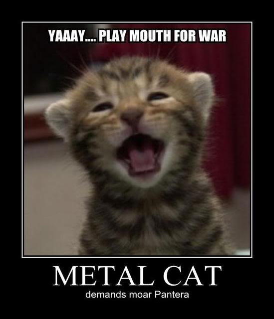 FELICIDADES FREAKEDU!!! Metal-cat